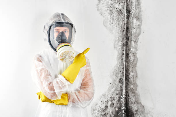 Mold Removal for HVAC Installations in Cabin John, MD